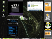 Fluxbox Dell LinuxMint7